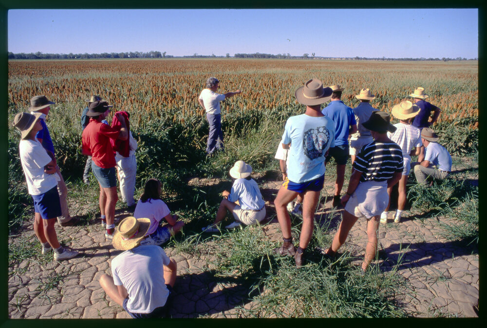 Agriculture Students in the Fields