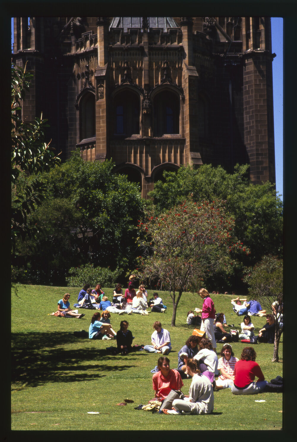 Students Sitting on Lawn West of MacLaurin Hall