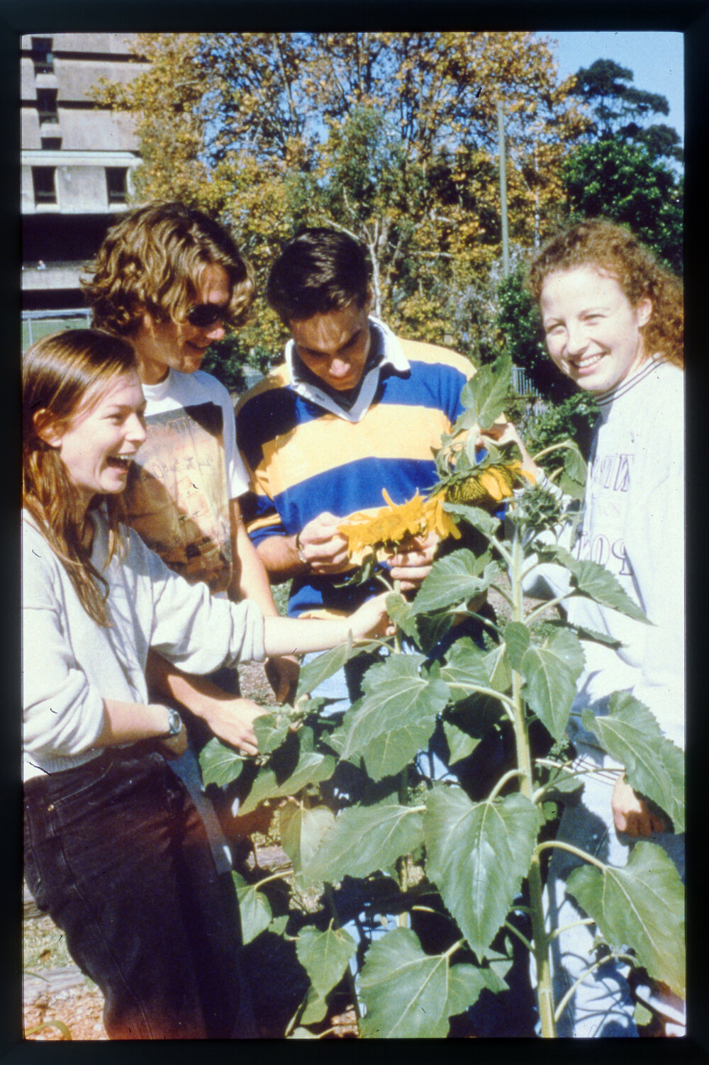 Agriculture Students with Sunflower