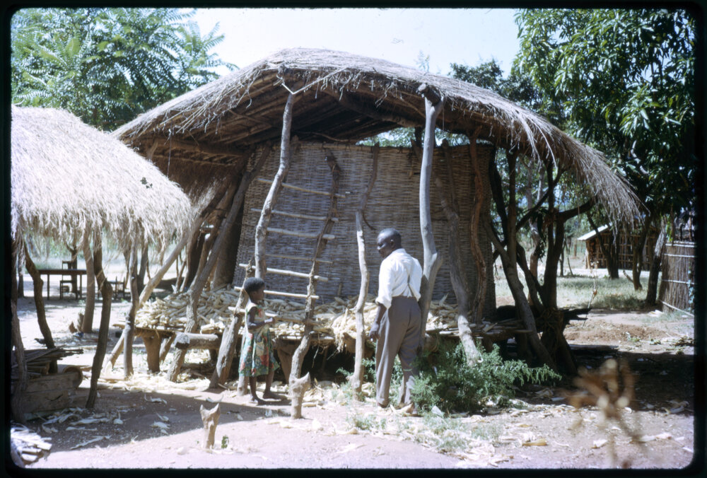 Branch-Framed Hut with Straw Roof