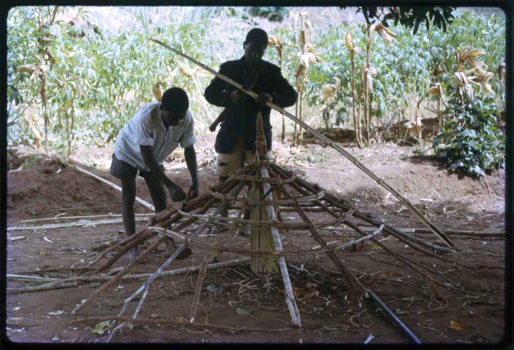 Men Building with Sticks and Bamboo