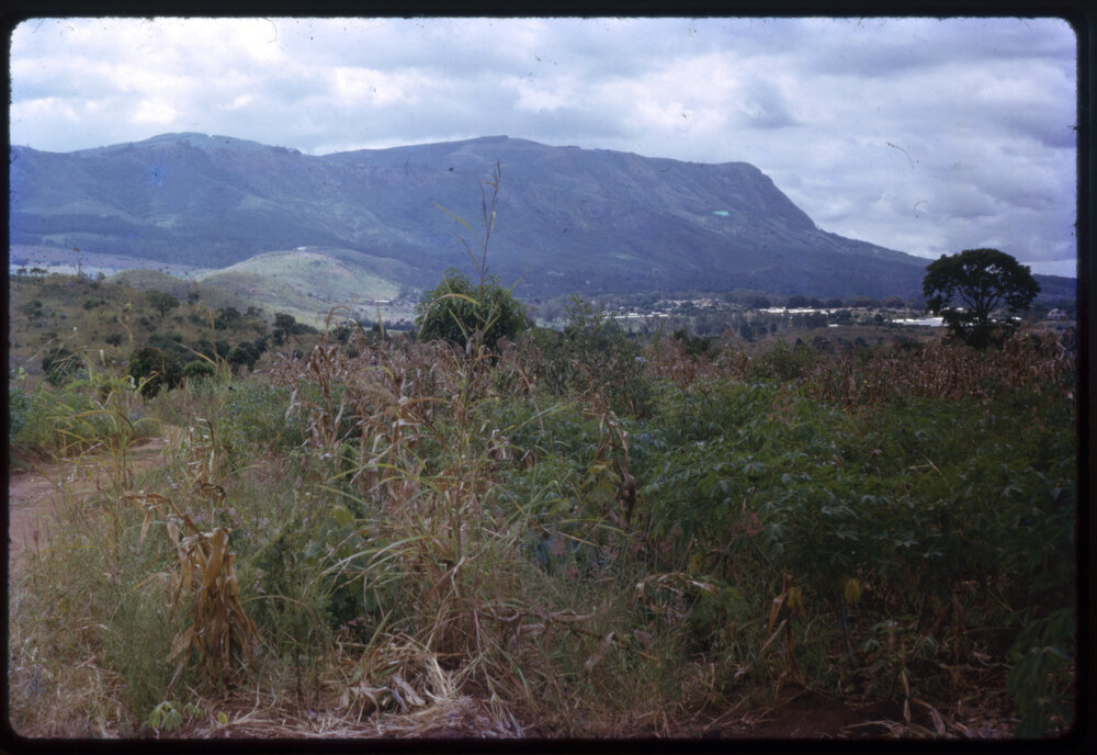 Field with Mountain in Background