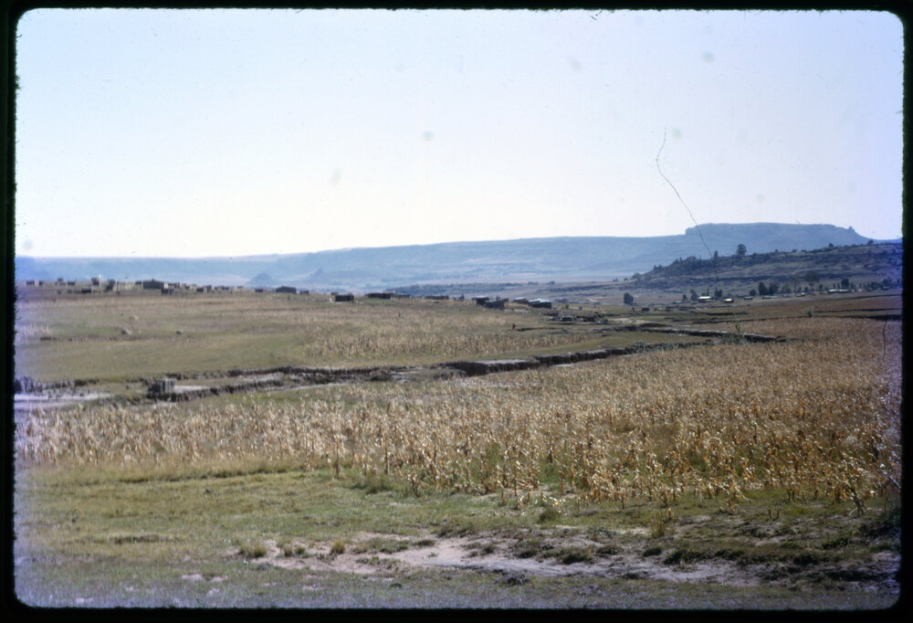 Field with Village in Background