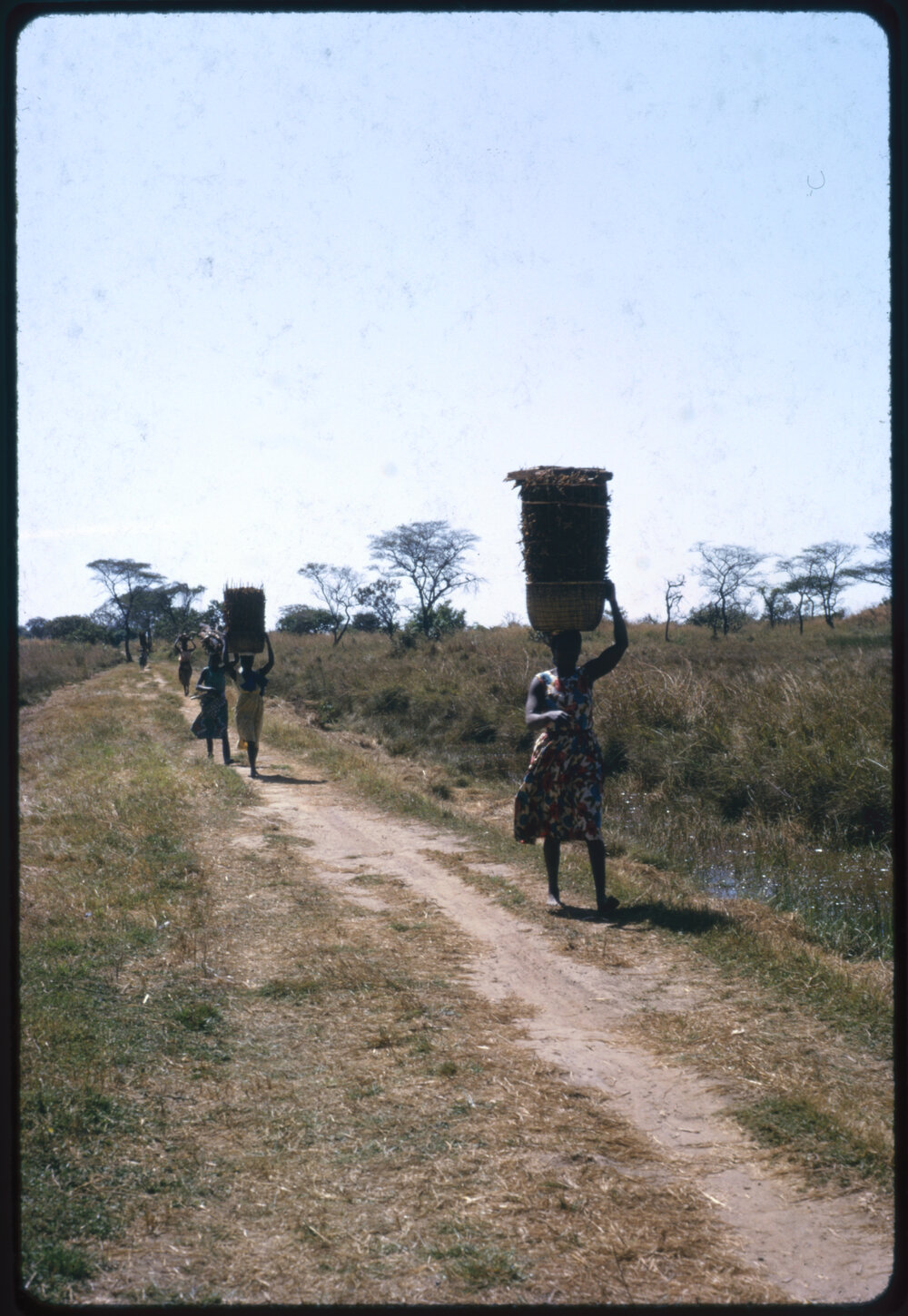 Women Carrying Baskets