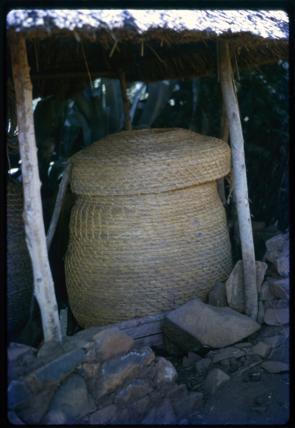 Woven Basket