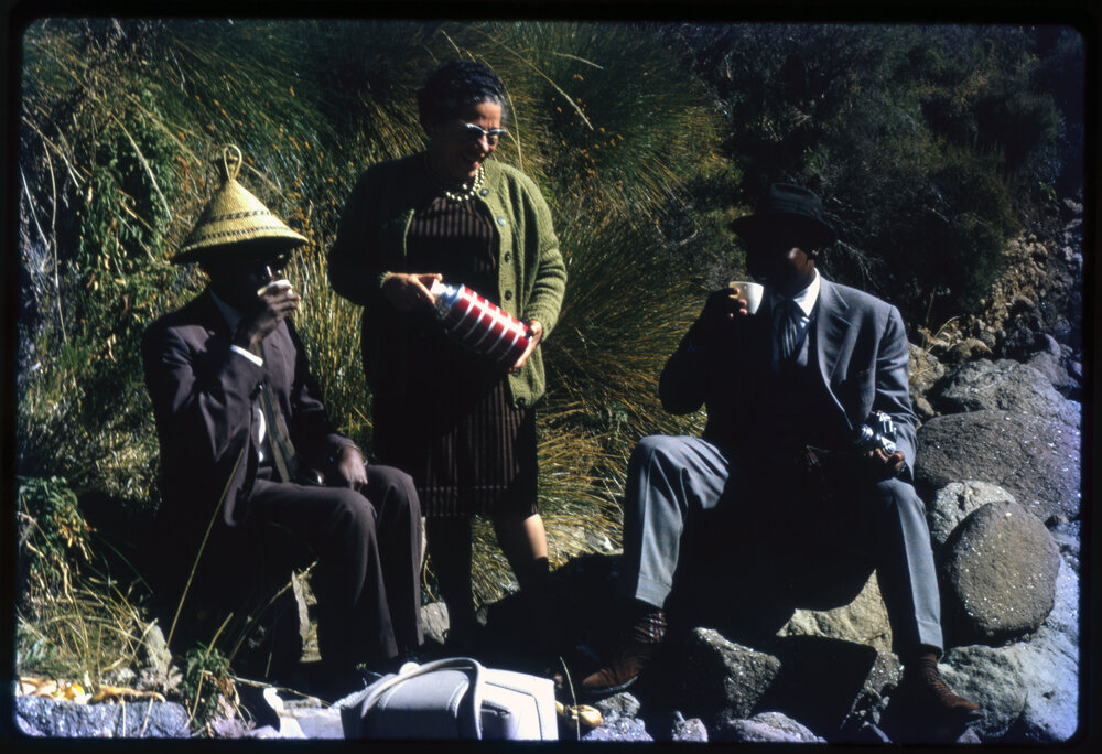 Three People Sharing a Drink