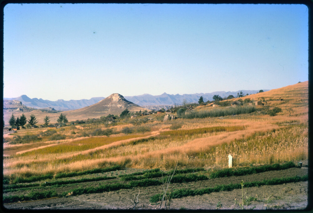 Fields with Mountains in Background