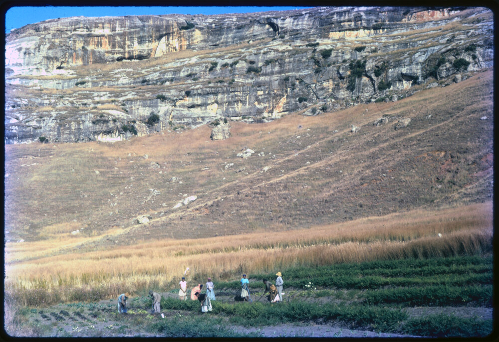 Group of People Farming