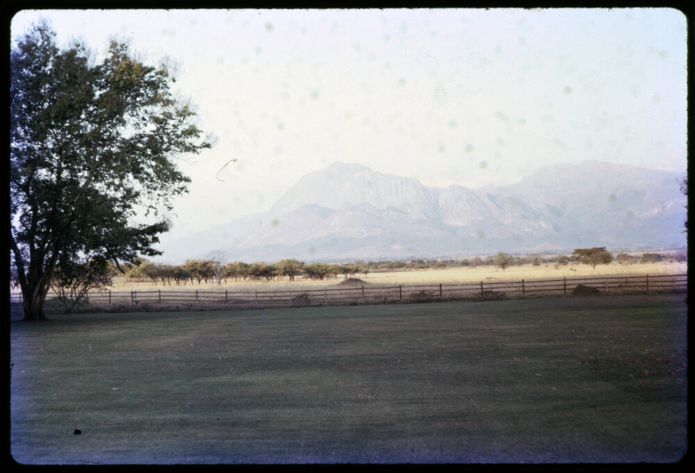 Fields with Mountains in Background