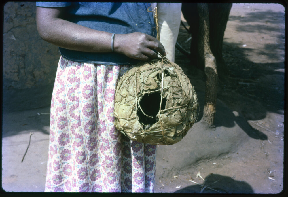 Container Made of Woven Leaves