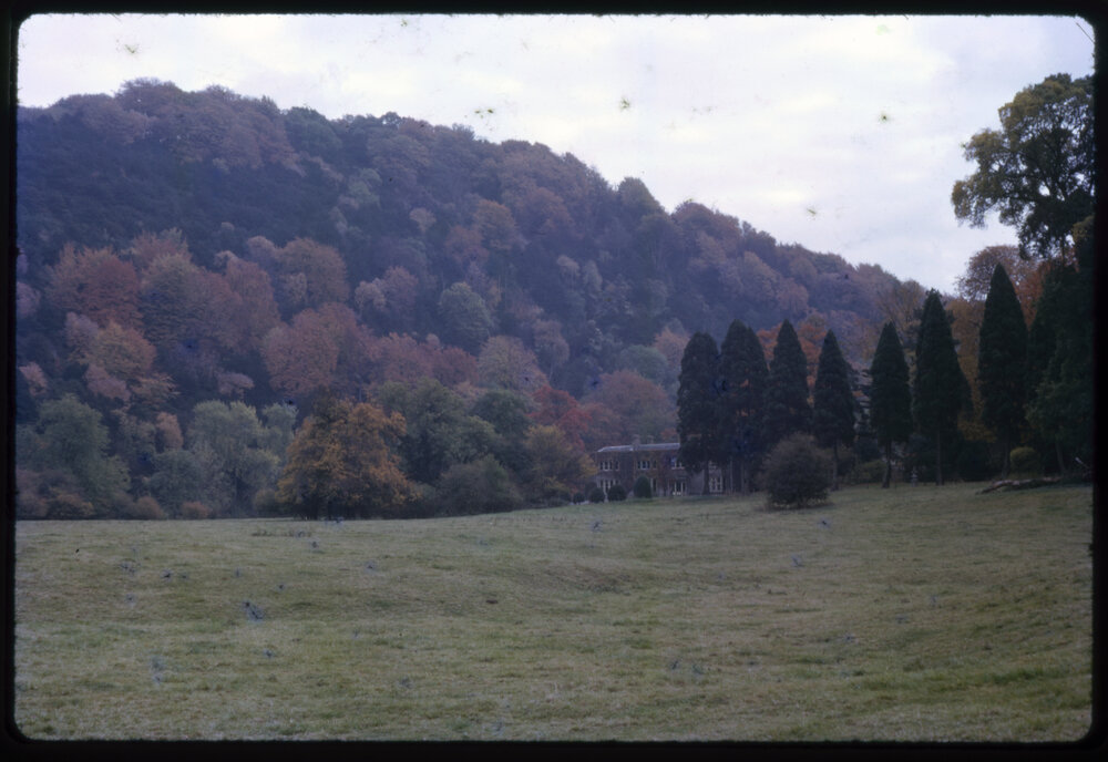 House Surrounded by Trees