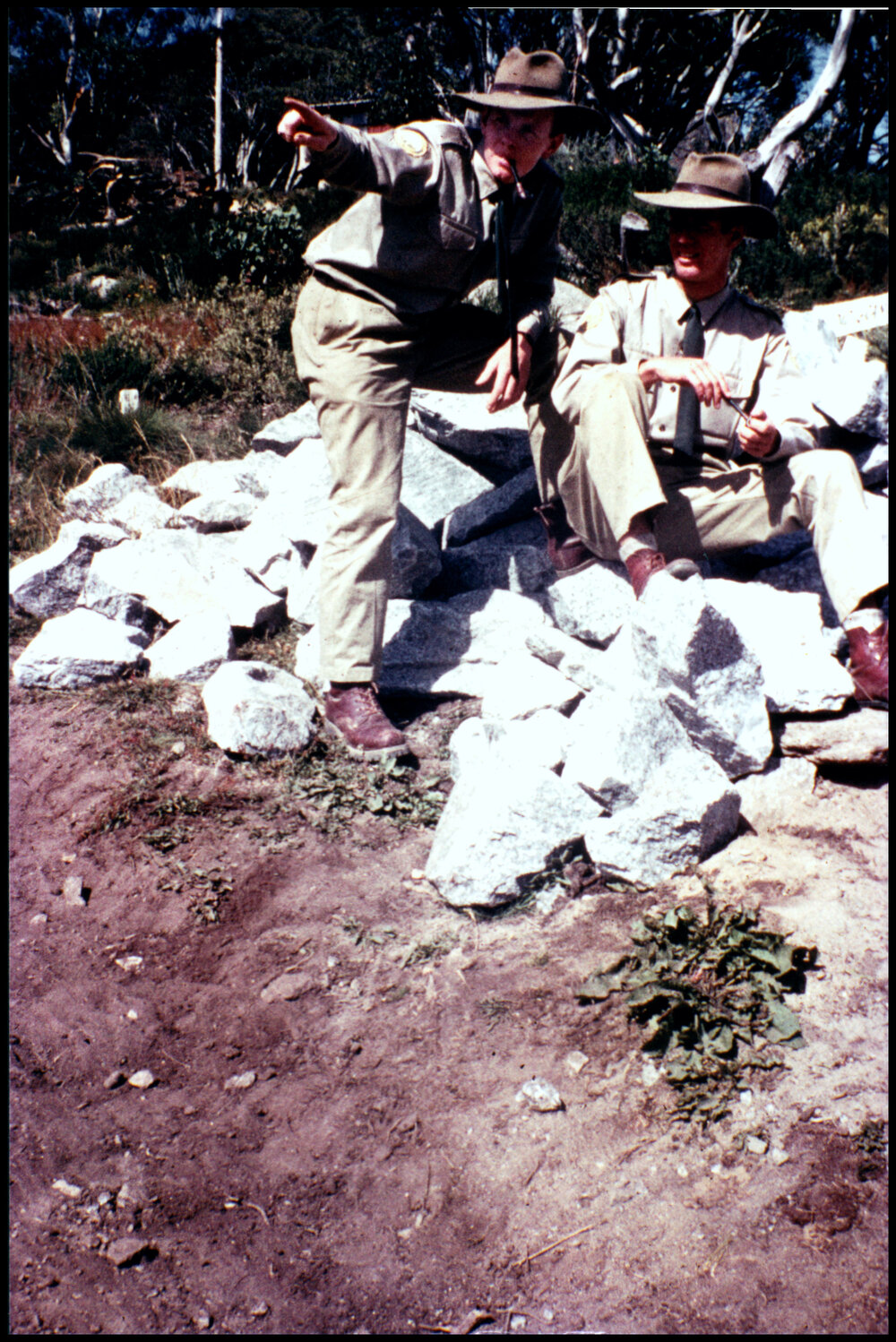 Botany Excursion to Kosciusko