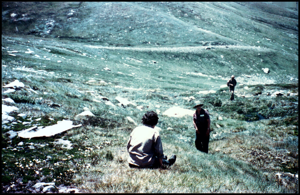 Joyce Vickery and Sue Brereton on the Poa Grasslands