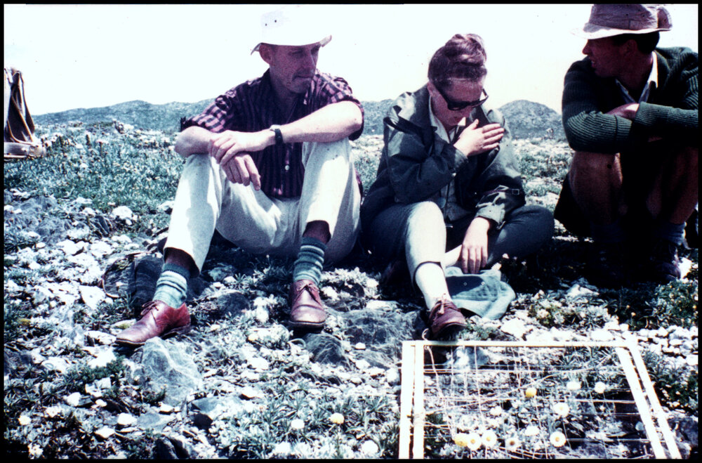 Working on the Fjeldmark