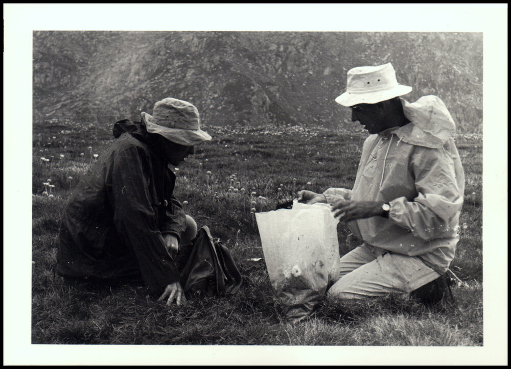 Collecting Specimens on Botany Kosciusko Excursion