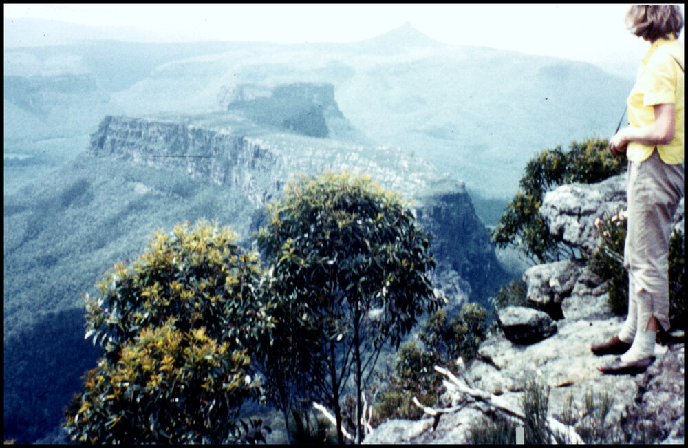 Margaret Dwyer View from The Castle