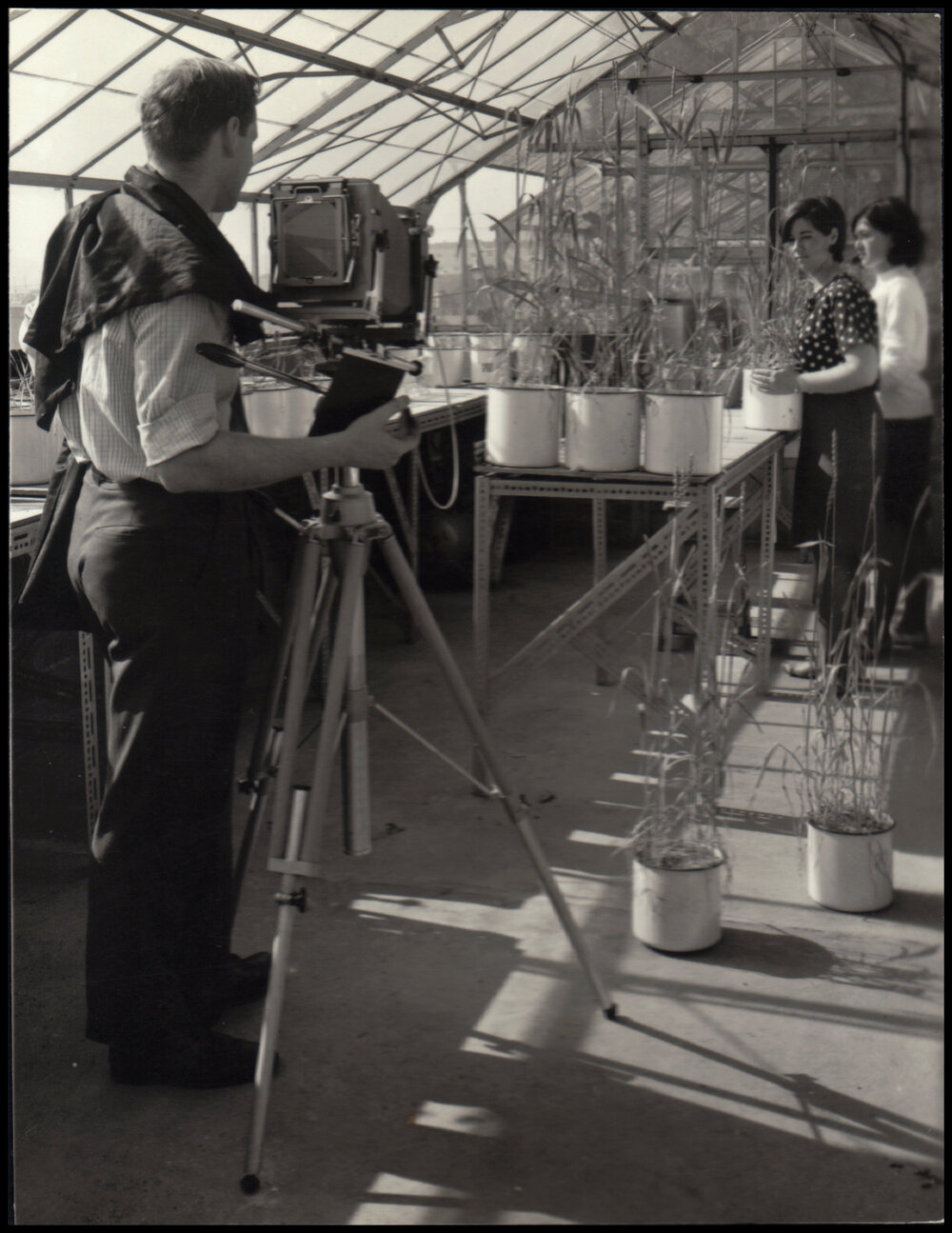 Students Completing a Crop Growth Experiment