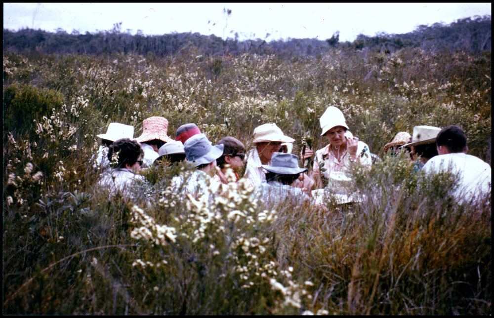 Hats in the Heath