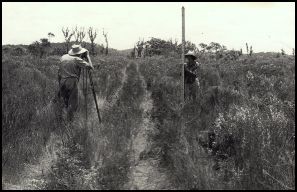 Survey at Myall Lakes