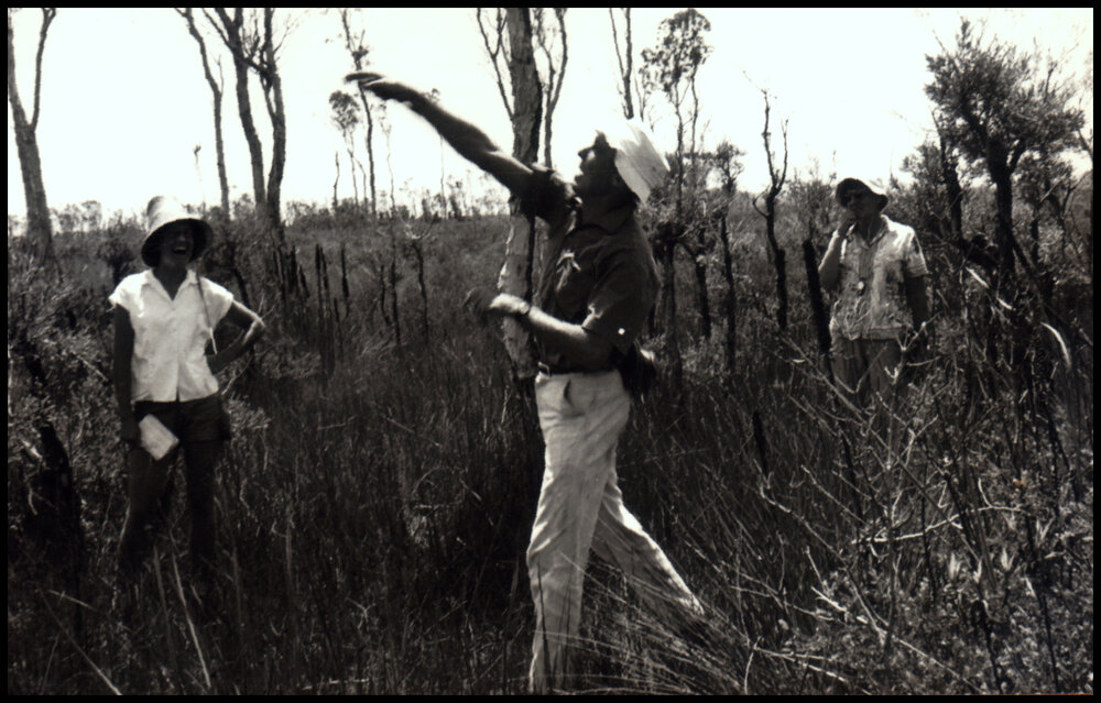 Botany Excursion to Myall Lakes