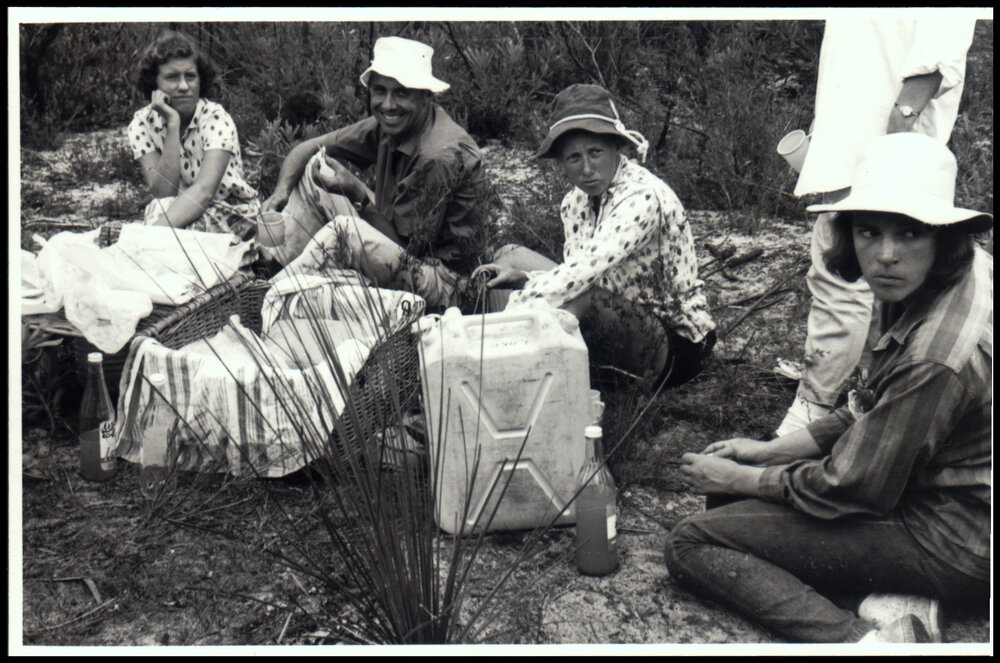 Lunch at the Myall Lakes Botany Excursion
