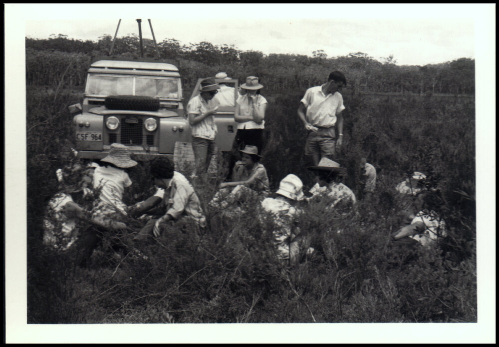 Lunch at the Myall Lakes Botany Excursion