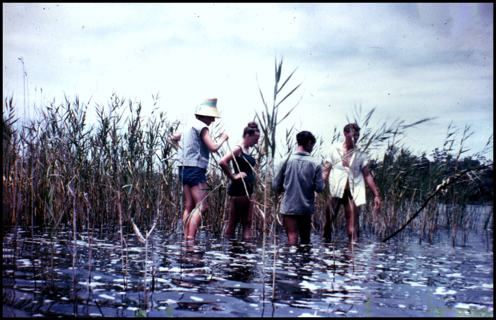 Botany Excursion to Myall Lakes