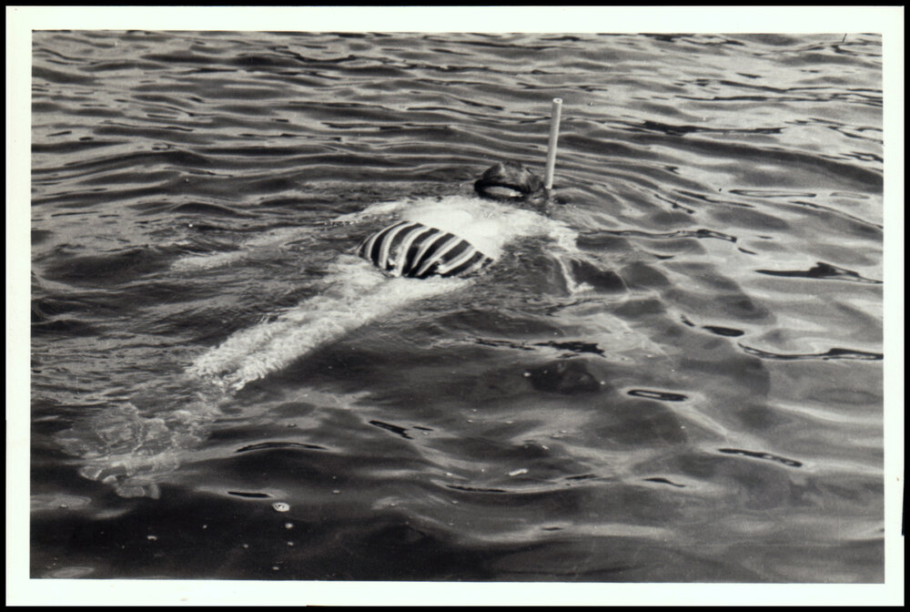Botany Excursion to Myall Lakes