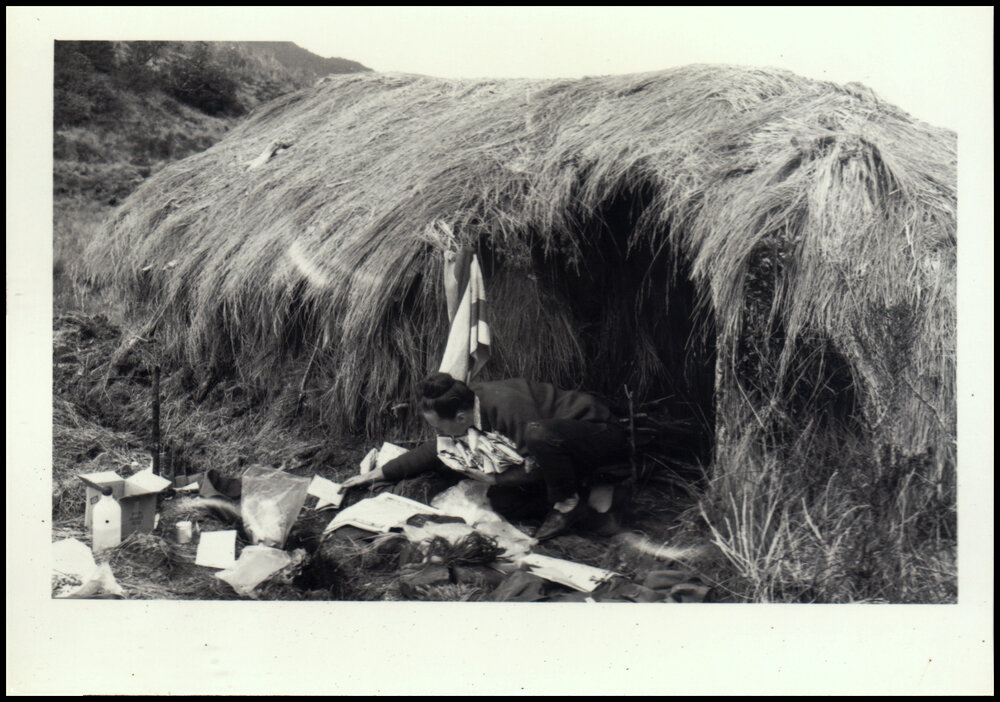 Helen Hewson Sorting Specimens