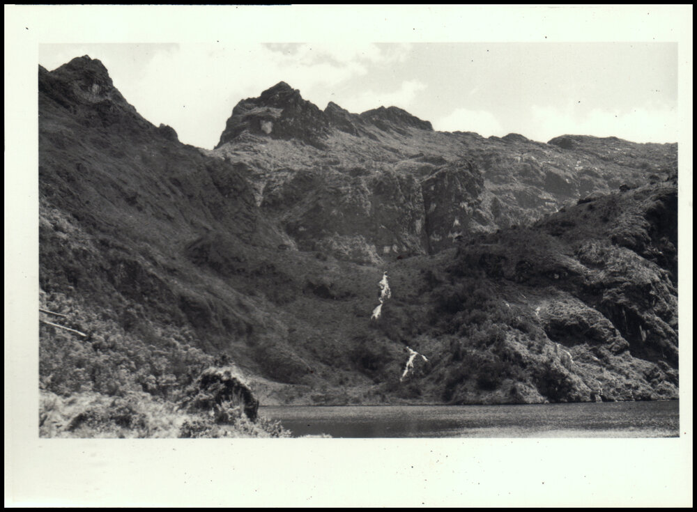 Vegetation Above Lake Pinde