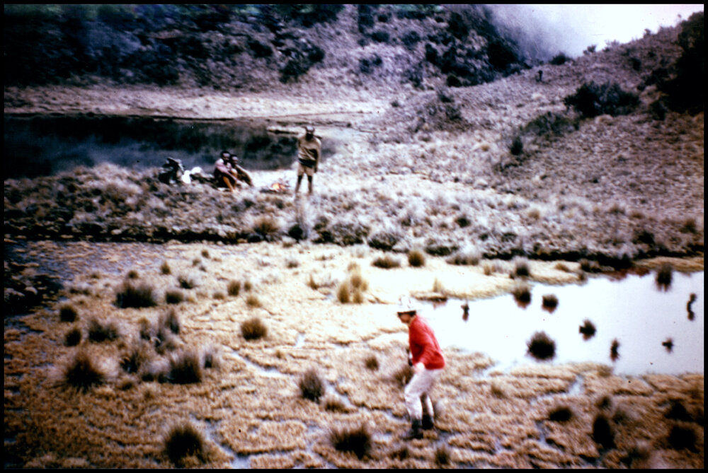 Jan Jacobs Collecting Specimens on Peaty Grassland