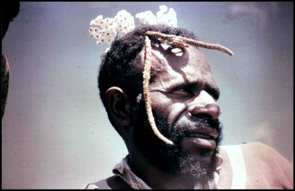Chimbu Man with Decorative Fronds in His Hair