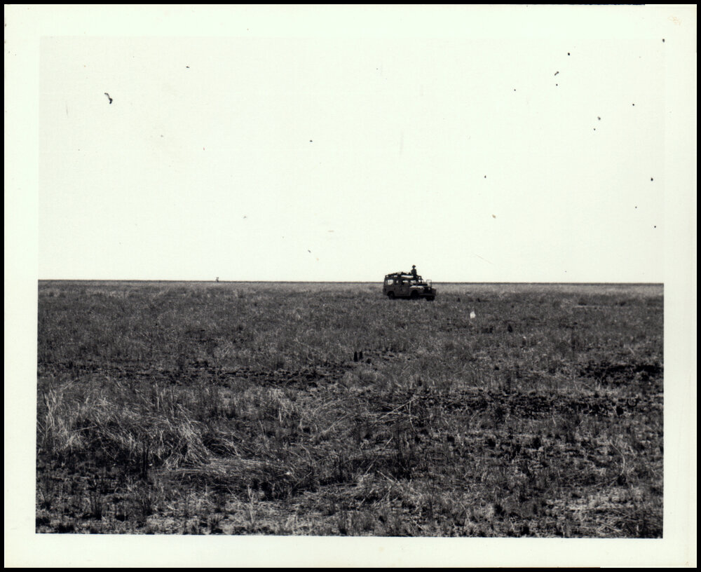 Roger Carolin in Queensland