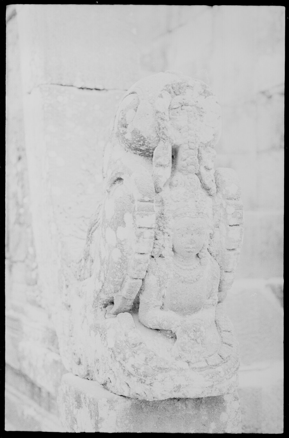 Carving at the Prambanan Temple, Special Region of Yogyakarta