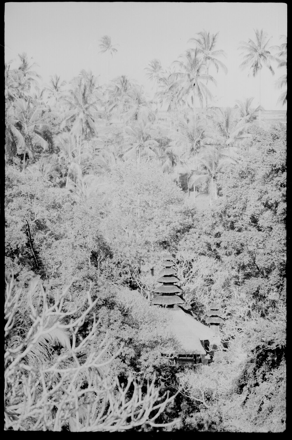 Temple Roof in Indonesian Forest