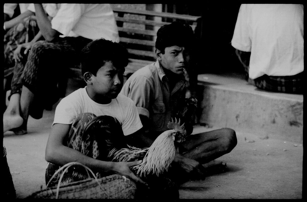Two Boys, Indonesia