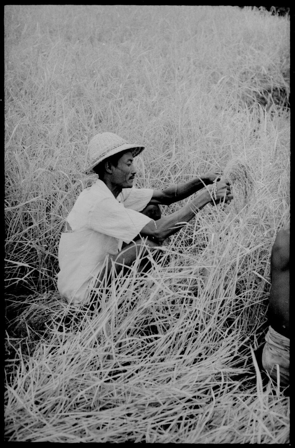 Man Sitting in Field