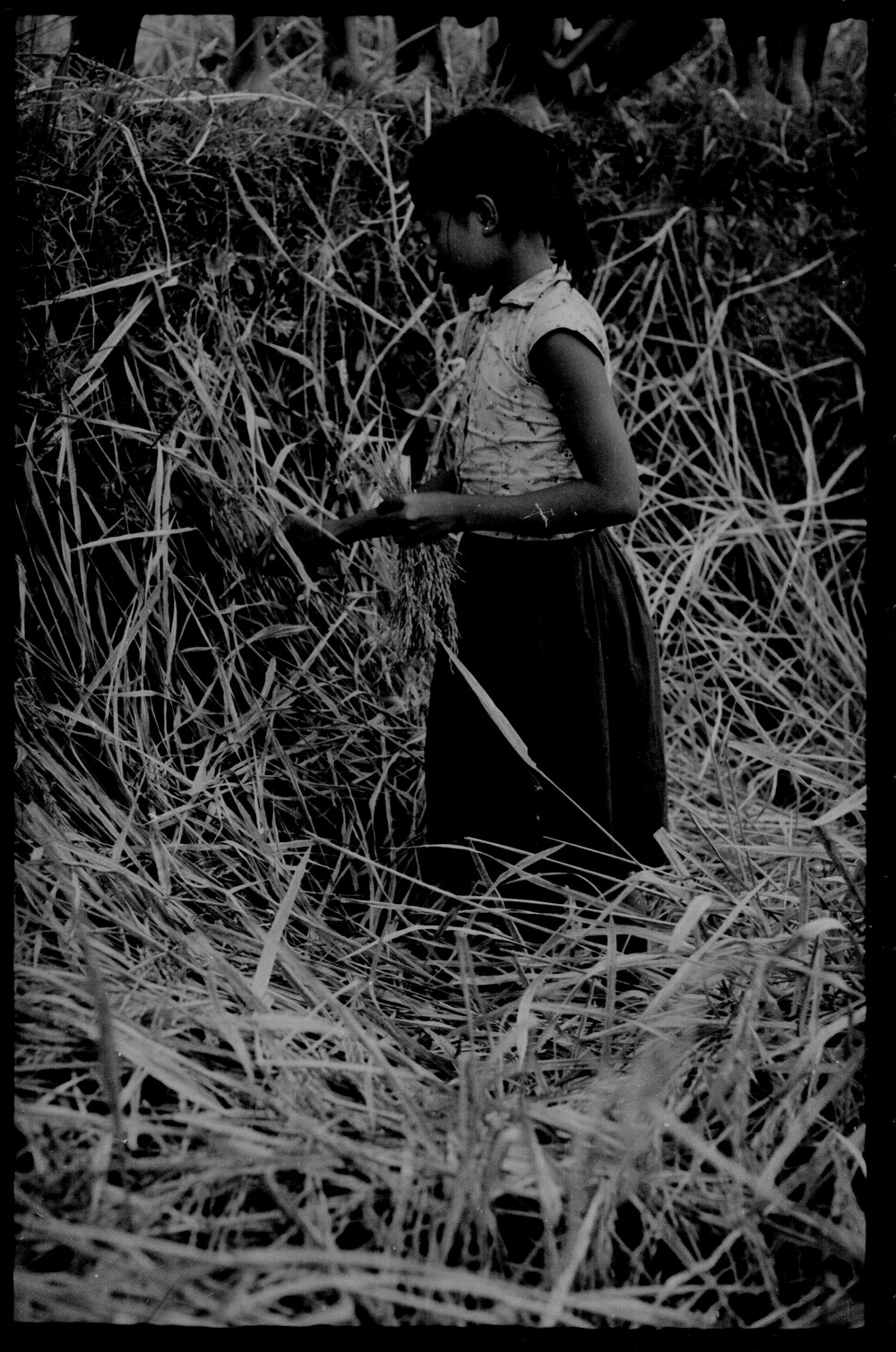 Girl Standing in Field