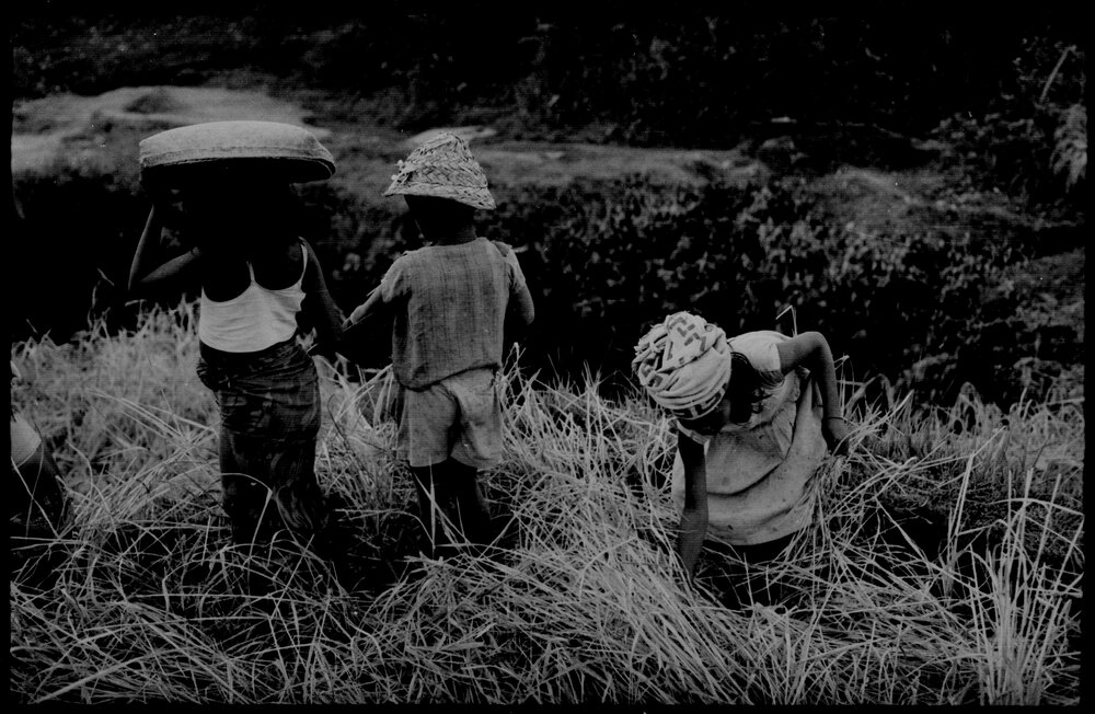 Children in Field with Baskets