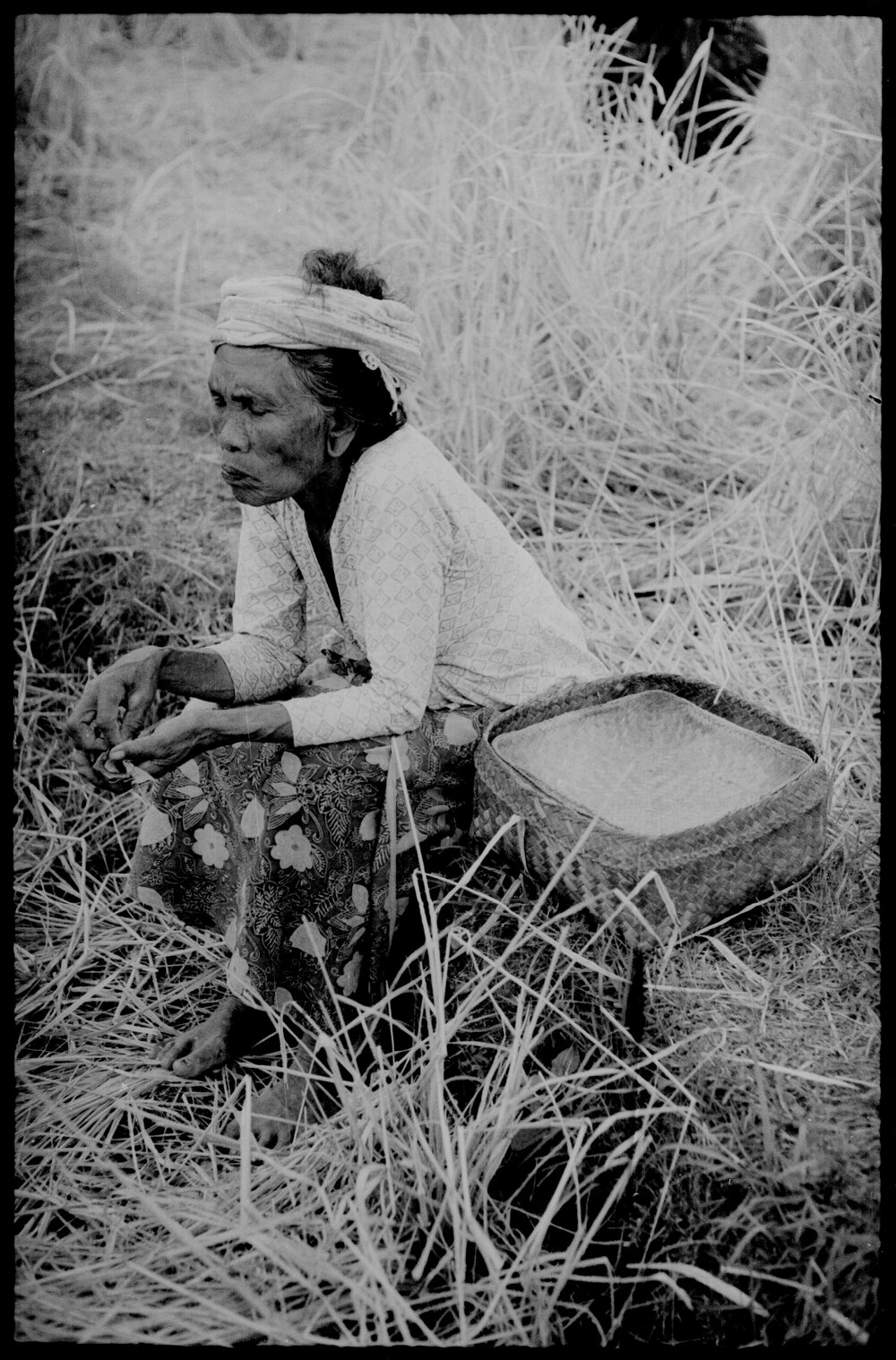 Woman Sitting in Field