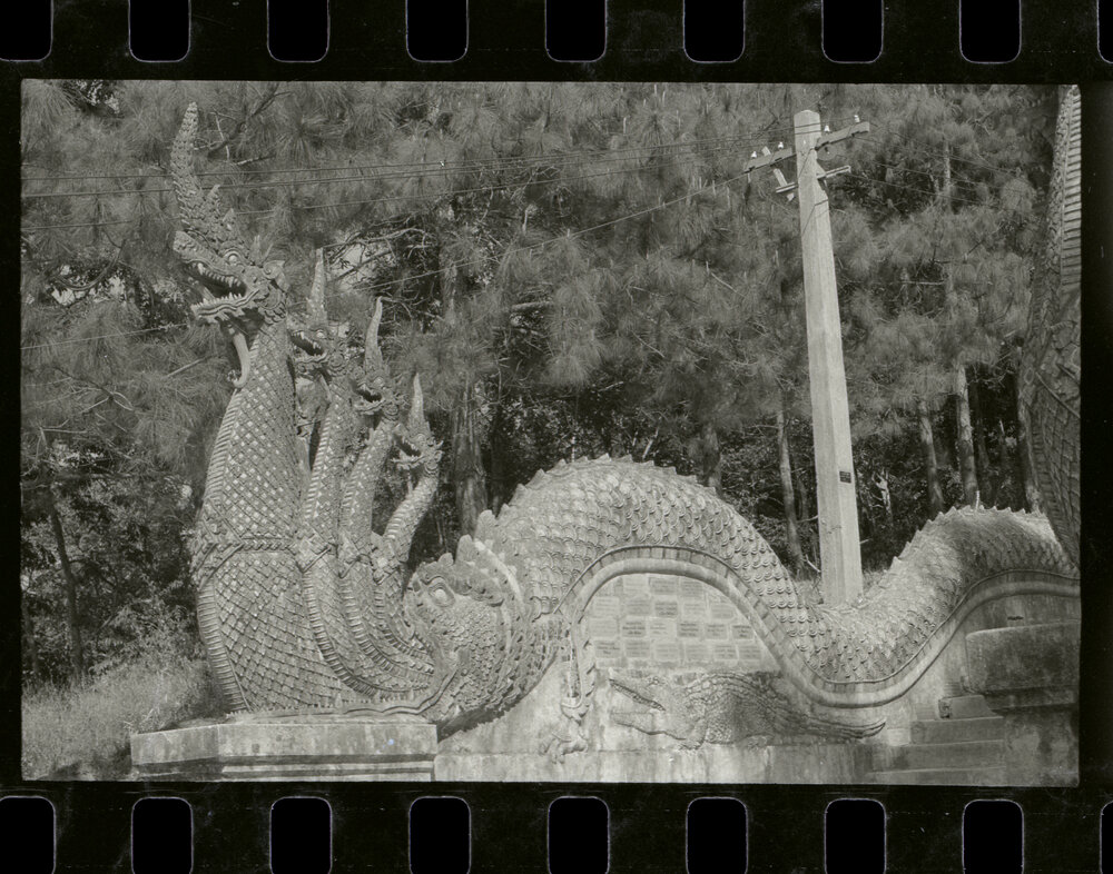 Naga Balustrade at the Wat Phra That Doi Suthep Temple, Chiang Mai