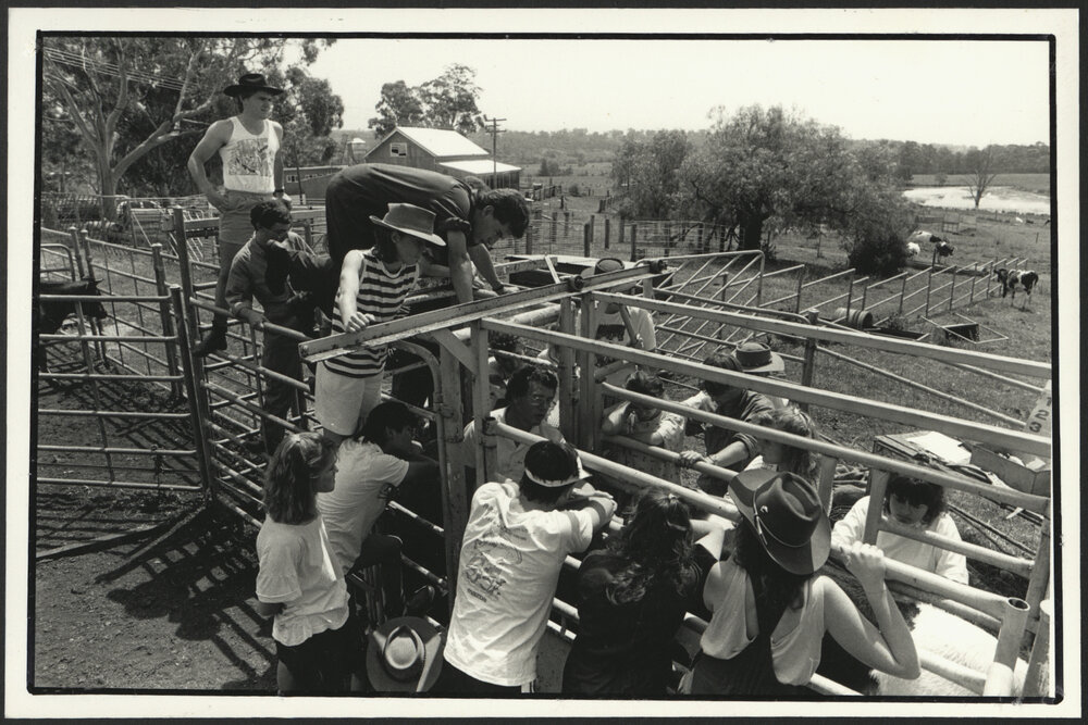 Veterinary Science Students at a Cattle Walking Pen Listening to a Lecture with Farm in Background - Camden
