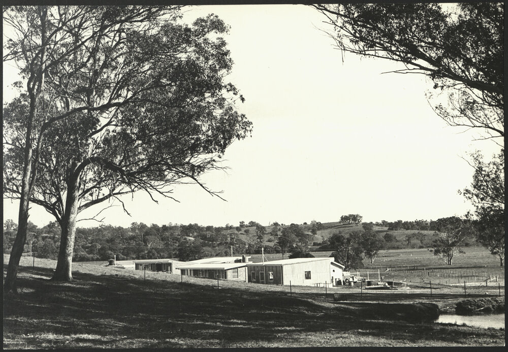 View Across the Farm Buildings Rural Veterinary Centre Camden