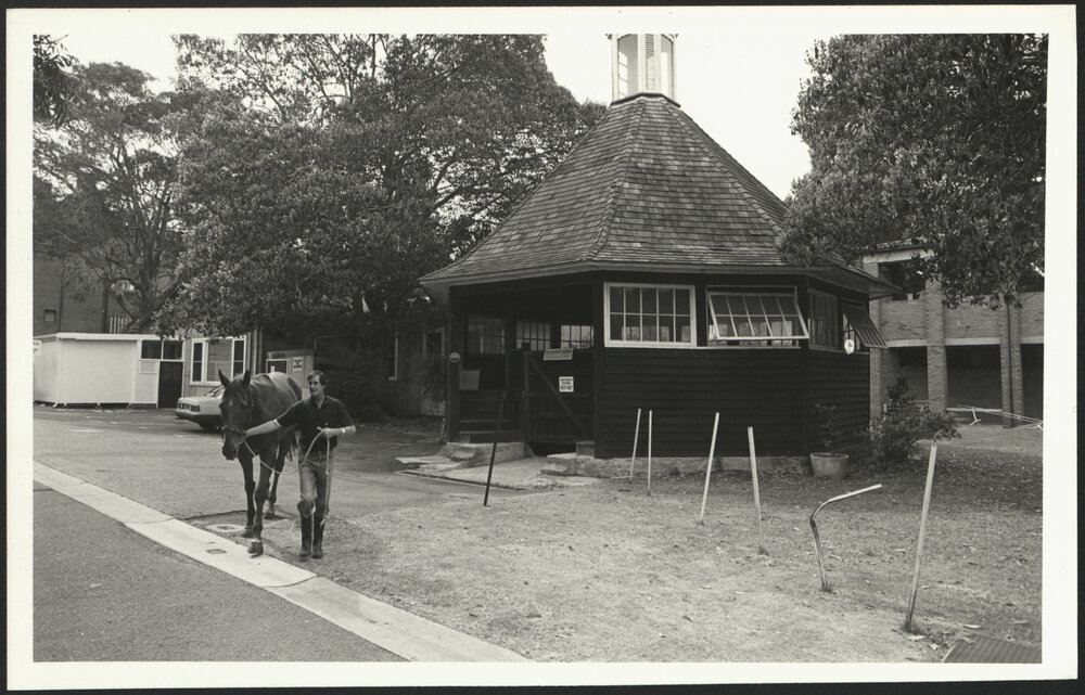 A Horse Being Led by a Male in Front of the Round House, Veterinary Science