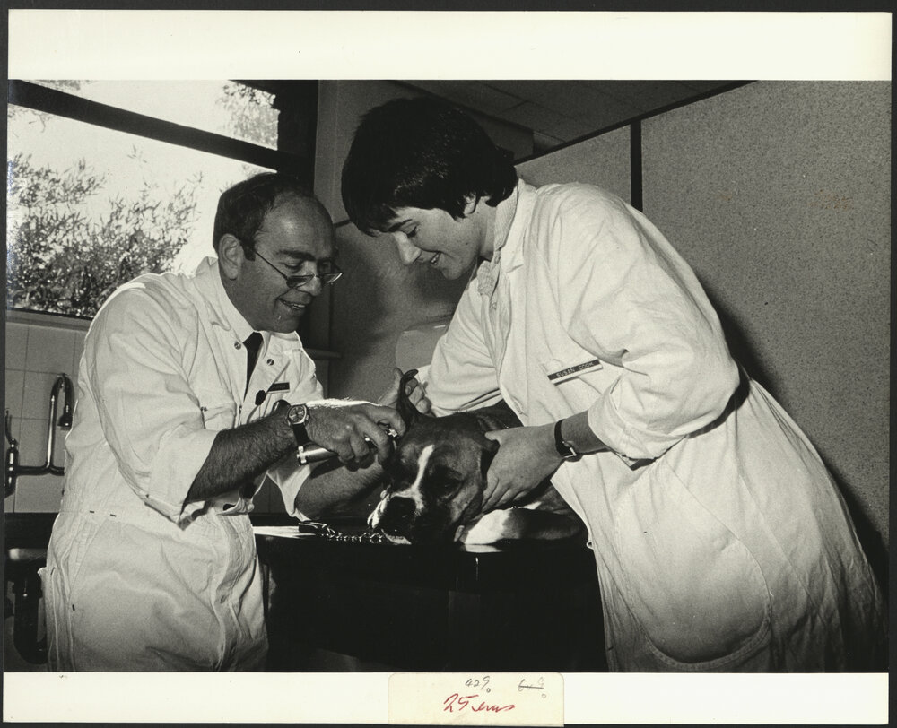 Dr WL Porges and Veterinary Science Student Susan Cook Gaining Practical Experience Examining a Dog