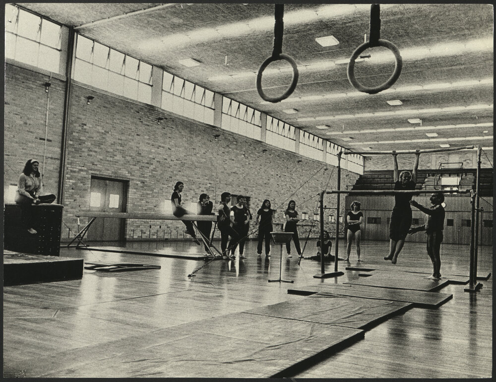 A Student Demonstrating an Exercise at Parallel Bars During a Gymnastics Class in the Gymnasium