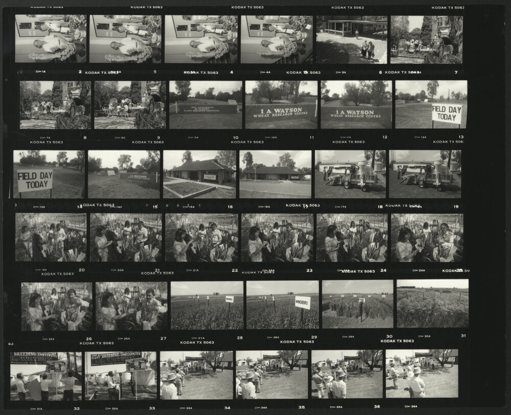 Narrabri Field Day Wheat Research Centre Contact Sheet 1