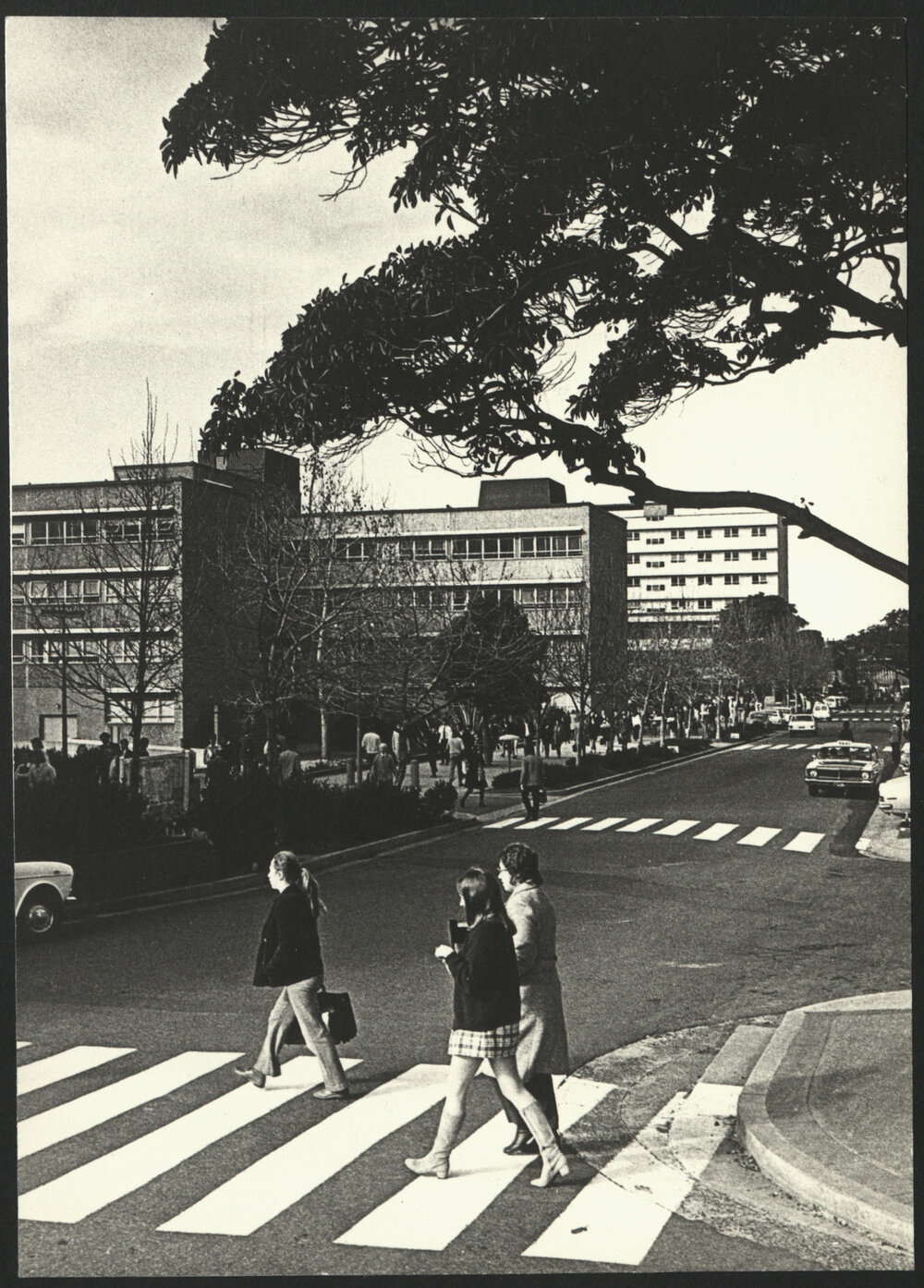 View Along Eastern Avenue Towards City Road Showing Five Pedestrian Crossings Across Eastern Avenue