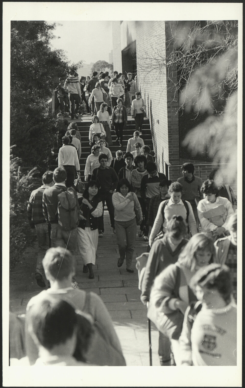 Students on Their Way to University and Lectures