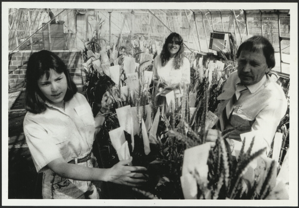 Agriculture Students and Supervisor in McMillan Building Greenhouse, Camperdown Campus